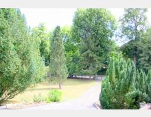 Ein parkähnlicher Bereich mit zahlreichen Nadel- und Laubbäumen sowie Sträuchern verschiedener Größen. Im Vordergrund verläuft ein schmaler gepflasterter Weg durch eine Wiese.