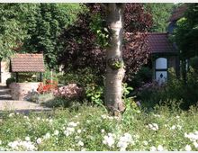 Ein idyllischer Garten mit dichtem Grün, blühenden Rosen und einem gemauerten Ziehbrunnen mit Ziegeldach im Vordergrund. Im Hintergrund sind ein Gebäude mit roten Dachziegeln und eine weiße Tür zu sehen.