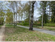 Baumgesäumter Weg mit Kopfsteinpflaster und angrenzendem Fußweg aus Betonplatten, umgeben von grünen Wiesen und Gebüsch. Im Hintergrund sind einzelne Wohnhäuser erkennbar, und am Himmel sind leichte Wolken sichtbar.