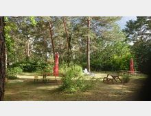 Waldlichtung mit mehreren Tischen und Bänken, teils mit roten Sonnenschirmen. Im Hintergrund sind Kiefern und Sträucher sowie eine grüne Schaukelanlage sichtbar.