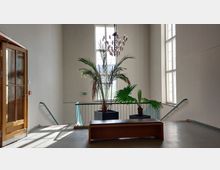 Heller Flur mit großen Fenstern, zentraler Pflanzendekoration in modernen schwarzen Pflanzkübeln und einer Holzbank im Vordergrund. Eine hölzerne Tür und Treppengeländer befinden sich an den Seiten.