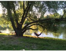Ein großer Baum mit ausladenden Ästen steht an einem Seeufer. Unter dem Baum sitzt eine Person in einer Hängematte, während Sonnenlicht die Szene beleuchtet; im Hintergrund sind Wasser und schwimmende Vögel sichtbar.
