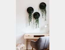 Ein minimalistischer Arbeitsplatz mit einem hellen Holztisch mit Rattandetails und einer grauen Polsterstuhl. An der weißen Wand hängen drei runde, schwarze Wandhalterungen mit herabhängenden grünen Pflanzen.