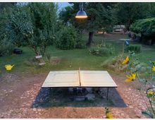 Ein Tischtennistisch steht auf einem gepflasterten Bereich in einem weitläufigen Garten mit Bäumen, Sträuchern, Blumen und sichtbaren Gartenmöbeln. Eine gelbe Gießkanne und eine Hängelampe sind ebenfalls im Bild zu sehen.