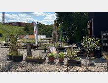Ein urbaner Garten mit verschiedenen Pflanzen in Töpfen und Hochbeeten auf einem Kiesboden. Im Bild sind auch Sonnenschirme, Sitzmöbel und informative Schilder zu sehen, umgeben von Bäumen und Gebäuden im Hintergrund.