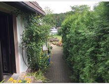 Schmaler gepflasterter Weg zwischen einer Hauswand mit Kletterpflanzen und gelben Blumen auf der linken Seite und einer dicht bepflanzten Hecke auf der rechten Seite. Im Hintergrund sind Bäume, eine Wiese und einige Gegenstände wie Gartenwerkzeuge zu erkennen.