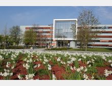 Modernes Bürogebäude mit rechteckiger Glasfassade im Eingangsbereich, umgeben von Bäumen und einer Grünanlage. Im Vordergrund blühende weiße Blumen auf einem Beet mit roter Rindenmulchabdeckung.
