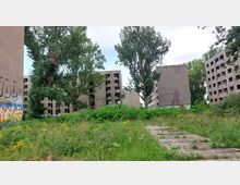 Verlassene Wohngebäude mit grauen Fassaden und leeren Fensteröffnungen, umgeben von dichtem Bewuchs mit Gras, Wildpflanzen und hohen Bäumen; ein schmaler Betonweg führt durch das überwucherte Gelände, während auf der linken Gebäudeseite Graffiti zu sehen sind.