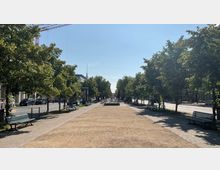 Allee mit Bäumen auf beiden Seiten, flankiert von gepflasterten Gehwegen und Bänken, in einer städtischen Umgebung. Im Hintergrund sind Baukräne und der Fernsehturm sichtbar.