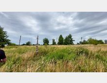 Weite Wiesenlandschaft mit hohem Gras und vereinzelten Bäumen im Hintergrund. In der Bildmitte stehen drei Holzmasten, einer davon mit geschnitzten und bemalten Details verziert, unter bewölktem Himmel.