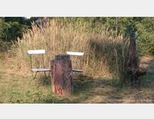 Zwei weiße Gartenstühle und ein Baumstumpf stehen auf einer Wiese vor einer Kulisse aus hohen, trocken wirkenden Gräsern und Bäumen im Hintergrund. Die Szene befindet sich in einer naturnahen Umgebung.