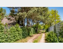 Ein schmaler, unbefestigter Weg führt durch eine ländliche Umgebung mit hohen Bäumen und dichter Vegetation. Links ist ein Haus mit Ziegeldach hinter einer Hecke sichtbar, rechts verläuft ein Metallzaun entlang des Weges.