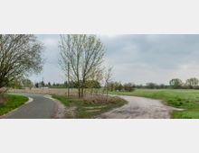 Eine Weggabelung in einer ländlichen Umgebung mit einem asphaltierten Radweg links und einem unbefestigten Weg rechts. Im Hintergrund sind Felder, vereinzelte Bäume sowie ein bewölkter Himmel sichtbar.