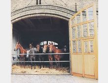 Backstein-Stallgebäude mit einem großen, offenen Rundbogen-Eingang; im Inneren sind mehrere Pferde auf mit Stroh bedecktem Boden zu sehen, vorne durch ein Metallgeländer begrenzt. Eine hölzerne, teilweise geöffnete Stalltür ist rechts sichtbar.