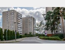 Mehrere graue Wohnhochhäuser aus Beton stehen entlang einer gebogenen Straße, die mit Gehwegen und Begrünung flankiert ist. Im Vordergrund befinden sich hohe Nadelbäume, Büsche und ein Verkehrsschild, das auf eine Tempo-30-Zone hinweist.