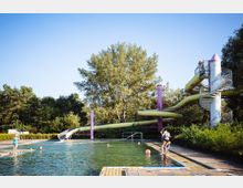 Ein Freibad mit einem Becken, umgeben von Bäumen und Vegetation. Im Hintergrund steht eine große, gelbe Wasserrutsche mit violetten Stützen und einer Wendeltreppe.