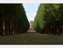 Eine symmetrische Allee aus dicht stehenden Bäumen führt zu einem historischen Gebäude mit einer Kuppel, das im Hintergrund sichtbar ist. Der Boden der Allee ist mit Gras und herabgefallenem Laub bedeckt, während der Himmel teilweise bewölkt ist.