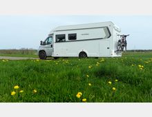 Ein weißes Wohnmobil steht auf einer asphaltierten Straße neben einer grünen Wiese mit blühendem Löwenzahn. Am Heck des Wohnmobils sind zwei Fahrräder befestigt, im Hintergrund sind Felder und Büsche zu sehen.