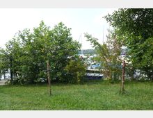 Grüne Wiese mit jungen Bäumen im Vordergrund, dahinter dichte Büsche und ein teilweise sichtbarer See mit Segelbooten. Im Hintergrund sind Wald und Masten der Boote zu erkennen.