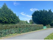 Wohnstraße mit asphaltiertem Gehweg, gesäumt von hohen Hecken aus immergrünen Büschen und Bäumen. Ein Drahtzaun mit Tor begrenzt die Hecken, dahinter sind vereinzelt Dächer von Wohnhäusern zu sehen. Der Himmel ist klar und blau mit einigen dünnen Wolken.