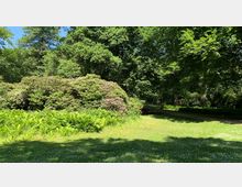 Ein Park mit Rasenfläche, umgeben von dichtem, grünem Laubwald. Im Vordergrund sind Farne und blühende Sträucher mit lilafarbenen Blüten zu sehen, während ein schmaler Weg durch die schattige Szene führt.