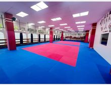 Ein großer Trainingsraum mit einer rot-blauen gepolsterten Bodenfläche, roten Säulen, an der Wand aufgehängten Boxsäcken und einer Spiegelwand. Der Raum hat eine Decke mit eingebauten Leuchtpaneelen und große Fenster mit Blick nach draußen.