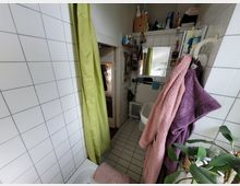 Kleines Badezimmer mit weiß gefliesten Wänden und Boden, einer Duschwanne mit grünem Duschvorhang, einem Spiegel über einem Waschbecken und Ablagen mit Toilettenartikeln. Handtücher in Rosa und Lila hängen an einem Haken, und eine Zimmerpflanze steht in der Ecke.