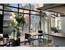 Modernes Büro mit großen Glasfenstern, die den Blick auf eine urbane Straßenlandschaft mit Gebäuden und geparkten Fahrrädern ermöglichen. Im Innenraum stehen Holztische, schwarze Bürostühle und große grüne Zimmerpflanzen.