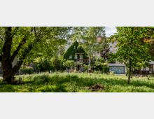 Ein grüner Gemeinschaftsgarten mit hohen Bäumen, dichtem Gras und einem kleinen Haus, das von Efeu überwuchert ist. Im Hintergrund sind ein bemaltes Garagentor und mehrstöckige Wohngebäude sichtbar.