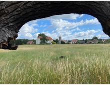 Blick durch einen hohlen Baumstamm auf eine ländliche Landschaft mit einer Wiese im Vordergrund, mehreren Gebäuden mit roten Dächern, darunter ein Fachwerkturm, und einem blauweißen Himmel mit Wolken.