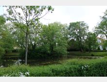 Ein kleiner Teich in einer parkähnlichen Umgebung, umgeben von dichtem Grün, Bäumen und Büschen. Im Hintergrund sind teilweise Gebäude mit rotem Ziegeldach und weißer Fassade zu sehen.