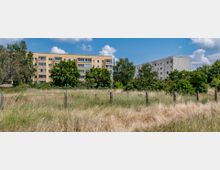 Blick auf eine unbebaute Wiese mit hohem Gras und einem Maschendrahtzaun im Vordergrund, dahinter mehrstöckige Wohngebäude in gelber und weißer Farbe, umgeben von Bäumen. Der Himmel ist teilweise bewölkt.