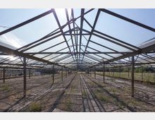 Abgewächshaus mit einem Metallgerüst und durchsichtigen Glasdächern, das auf einer trockenen, teils bewachsenen Fläche steht. Im Hintergrund sind offene Felder und Bäume sichtbar.