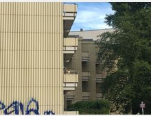 Mehrstöckiges Wohngebäude mit beige-gelber, geriffelter Fassade und mehreren Balkonen, die seitlich sichtbar sind. Im Vordergrund ein großer Baum und Graffiti auf der Fassade.
