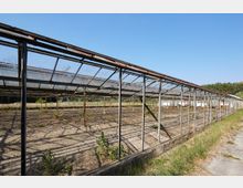 Verlassenes Gewächshaus mit Metallkonstruktion und beschädigtem Glasdach, darunter trockener, ungenutzter Boden mit vereinzeltem Pflanzenwuchs. Im Hintergrund ist Vegetation und ein blauer Himmel sichtbar.