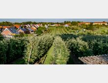 Eine Obstplantage mit dicht bepflanzten Apfelbäumen im Vordergrund, dahinter eine Siedlung mit Häusern, roten Dächern und einigen Solarpanelen, umgeben von Bäumen und Grünflächen. Die Szene befindet sich in einer ländlichen Umgebung mit leicht hügeliger Landschaft.