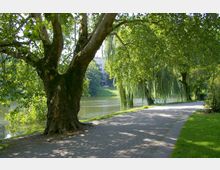 Ein Parkweg mit Pflastersteinen führt entlang eines ruhigen Flusses, gesäumt von großen Bäumen, darunter eine mächtige Platane und hängende Weiden. Im Hintergrund sind ein Gebäude und weitere Grünflächen zu sehen.