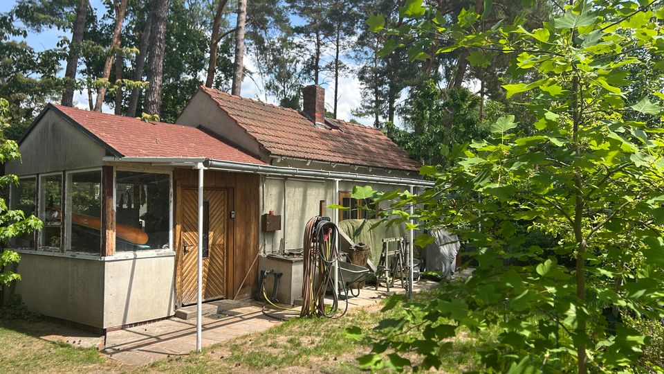 Kleines einstöckiges Haus mit rotem Ziegeldach und verglastem Anbau, umgeben von hohen Kiefern und dichtem Grün. Vor dem Eingang liegen eine gepflasterte Terrasse sowie Gartenutensilien wie Schlauchrollen und eine Leiter.