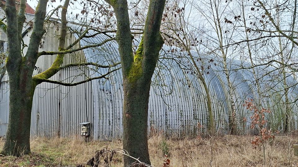 Langer, gewölbter Hallenbau aus Wellblech mit senkrechten Rippen, teilweise hinter mehreren laublosen Bäumen im Vordergrund sichtbar. Das Gebäude steht in einer brachliegenden, grasigen Fläche mit Sträuchern und Unterholz.