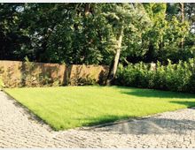 Ein gepflegter Garten mit einer rechteckigen Rasenfläche, umgeben von dichtem Gebüsch und hohen Bäumen. Im Vordergrund ist ein gepflasterter Weg zu sehen, im Hintergrund ein Holzzaun.