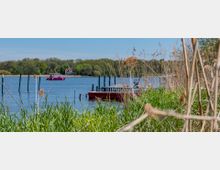 Schilfbewachsene Uferlandschaft mit Blick auf einen See, in dem ein rotes Boot an einem Holzsteg festgemacht ist und ein weiteres Boot über das Wasser fährt; im Hintergrund stehen Bäume und ein Gebäude mit roten Dachziegeln.