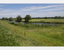 Flusslandschaft in einer ländlichen Umgebung mit einer Wiese im Vordergrund, einem schmalen Fluss in der Mitte und Bäumen im Hintergrund unter einem blauen Himmel mit leichten Wolken.