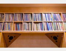 Ein Holzregal mit mehreren Fächern, die dicht gefüllt sind mit Schallplatten, darunter zwei dreieckige Lautsprecher in die Regalstruktur integriert. Der Hintergrund besteht aus einer holzfarbenen Wand.