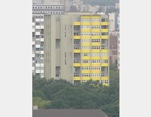 Mehrstöckiges Wohngebäude mit grauer Fassade und gelb gestrichenen Balkonbrüstungen, umgeben von weiteren Hochhäusern im Hintergrund und Bäumen im Vordergrund.