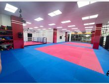 Trainingsraum für Kampfsport mit rot-blauen Mattenböden, einem Boxring im Hintergrund und großen Fenstern auf der rechten Seite. An den Wänden befinden sich Regale mit Trainingsausrüstung und verschiedene Boxsäcke.