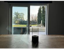 Blick aus einem Innenraum durch eine große Glasschiebetür auf einen Garten mit Rasen, Bäumen und einer kleinen Steintreppe. Im Vordergrund ist ein Holztisch mit einem runden Objekt darauf zu sehen.