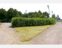 Eine parkähnliche Umgebung mit einem dreieckigen Rasenstück, umgeben von Sandwegen und einer dichten Hecke im Hintergrund. Dahinter sind mehrere Bäume und hohe Flutlichtmasten sichtbar.