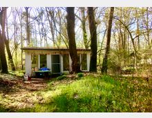 Kleine weiße Holzhütte mit Flachdach in einem lichten Wald, umgeben von hohen Bäumen und dichtem Grün. Vor der Hütte steht ein Tisch mit Stühlen; eine Person sitzt dort, während Sonnenlicht durch die Bäume fällt.