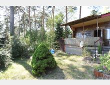 Holzhaus mit überdachter Veranda in einem bewaldeten Garten, umgeben von dichtem Grün, darunter Bäume, Sträucher und eine kegelförmig geschnittene Hecke im Vordergrund. Im Hintergrund sind hohe Kiefern und weitere Pflanzen zu sehen.