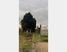 Ein Garten mit einer kleinen Holzhütte links und einem Gewächshaus rechts. Im Vordergrund ein gepflasterter Weg mit Gras und Beeten, im Hintergrund ein hoher Nadelbaum und ein bewölkter Himmel.